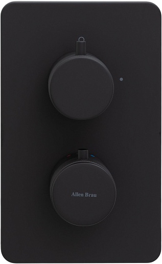 Allen Brau Смеситель для душа Priority 5.31113-31 (с внутренней частью, 1 выход) черный матовый – картинка-3